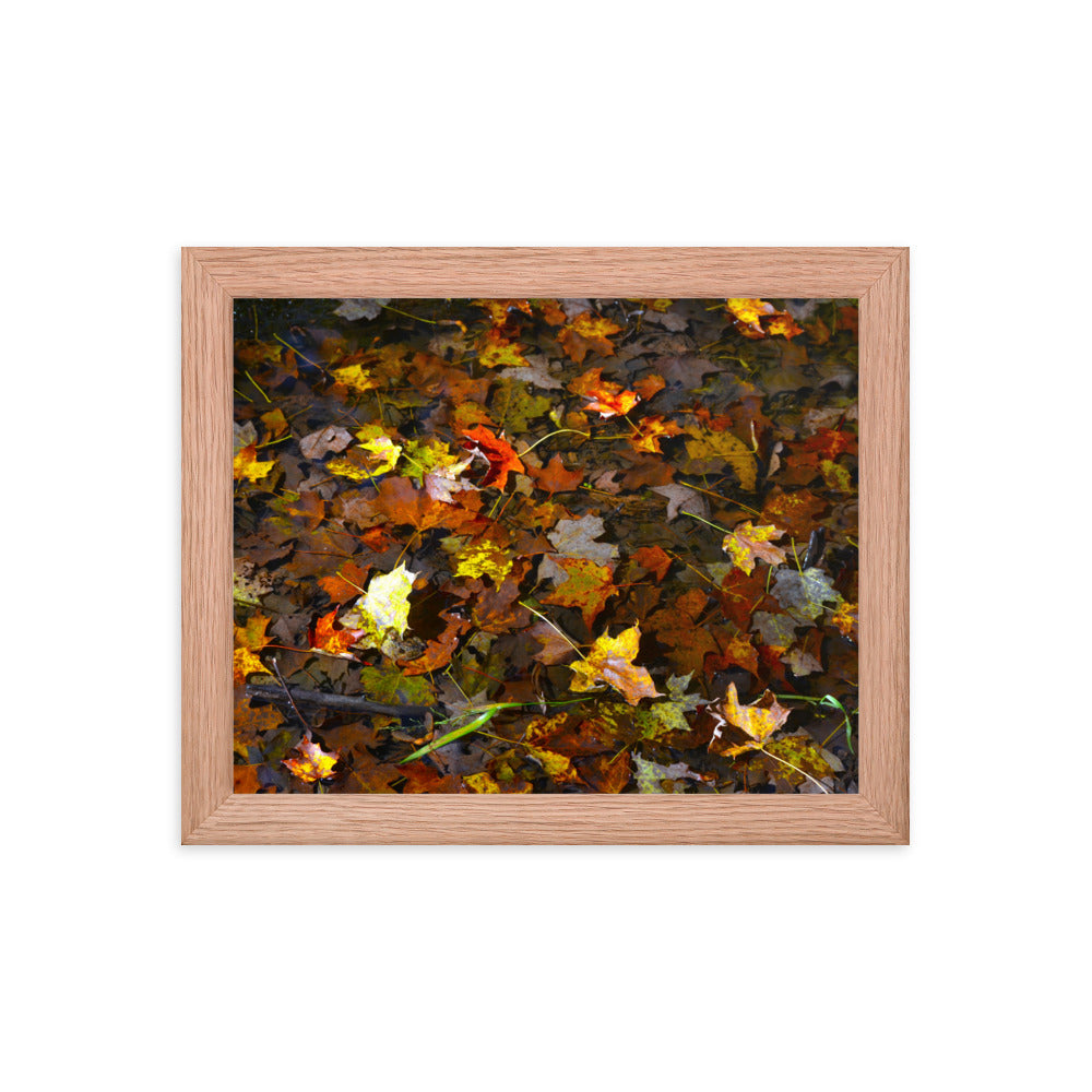 Fall Leaves 1