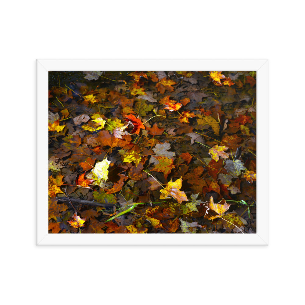 Fall Leaves 1