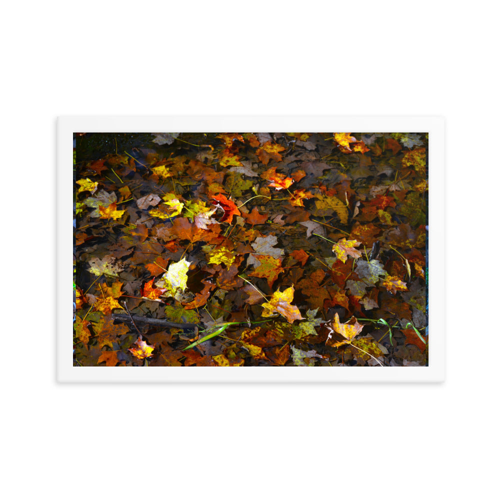 Fall Leaves 1