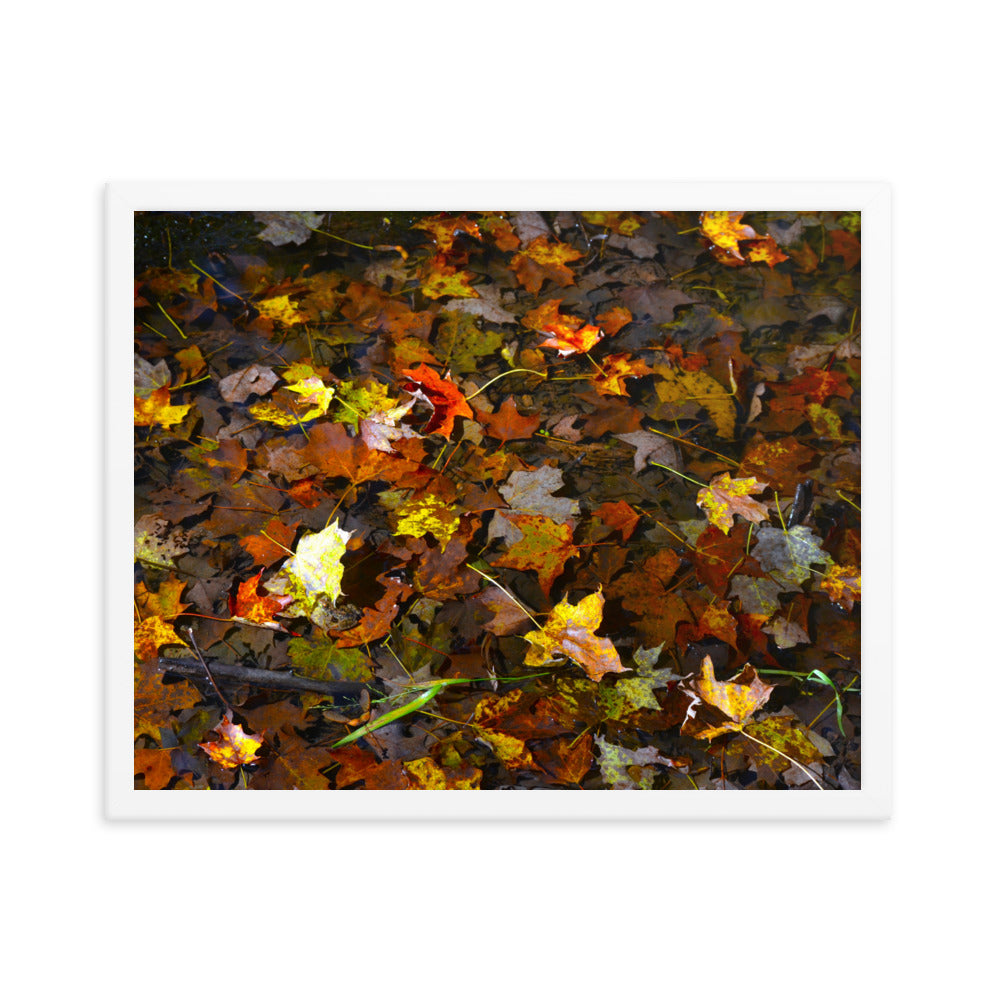 Fall Leaves 1