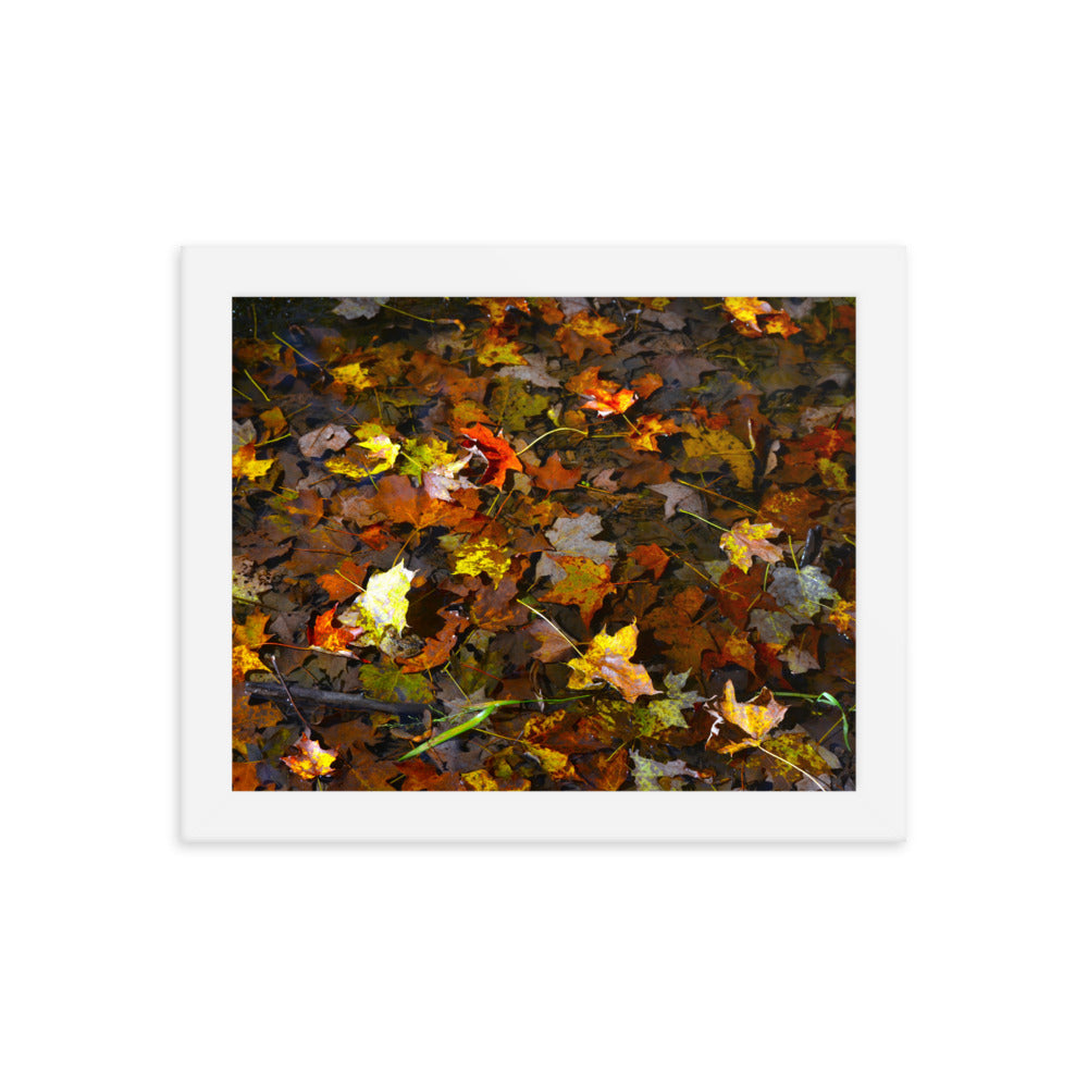 Fall Leaves 1