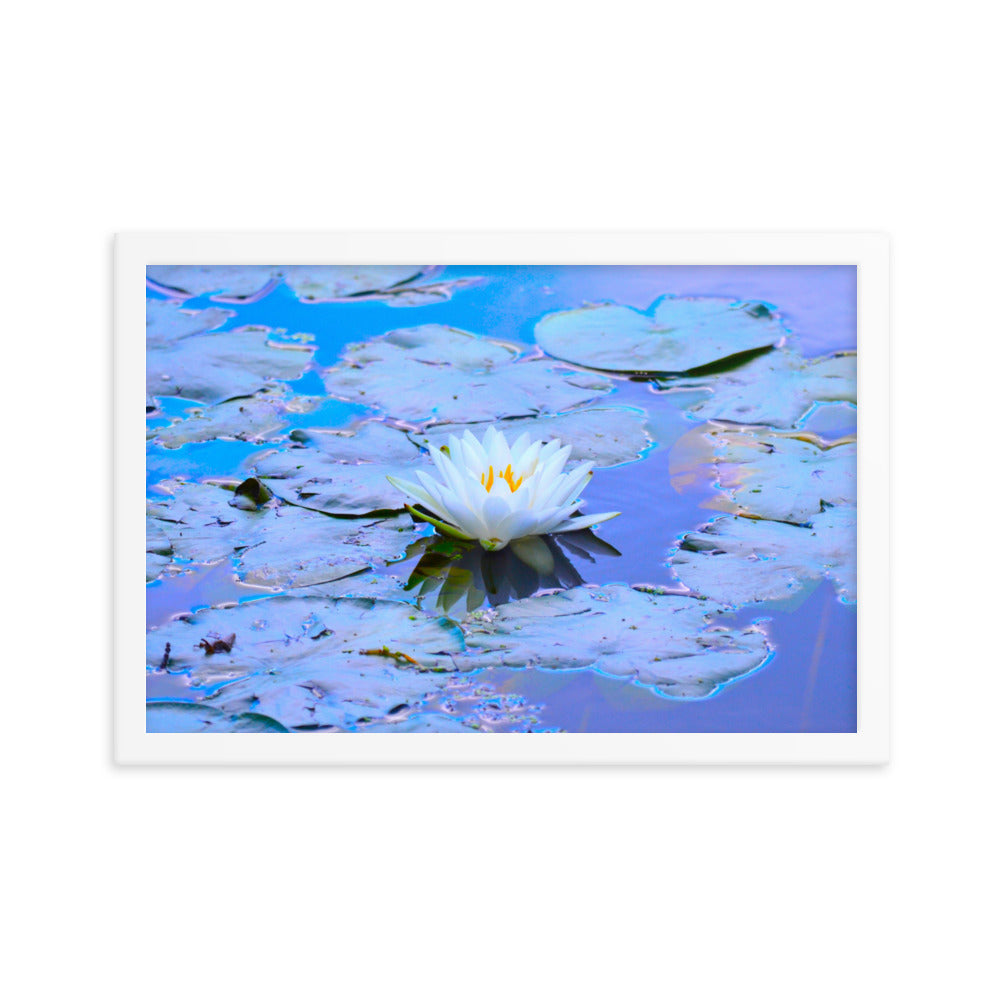 White Lotus